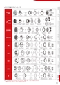 CATALOGUE_No34